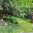 Wooded lot providing incredible privacy -- 28evergreen