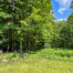 Wooded lot providing tranquility and privacy -- 28evergreen