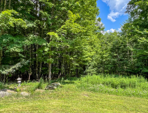 Wooded lot providing tranquility and privacy — 28evergreen